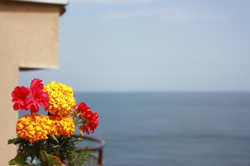 Hotel Milan Primorsko Ngoại thất bức ảnh